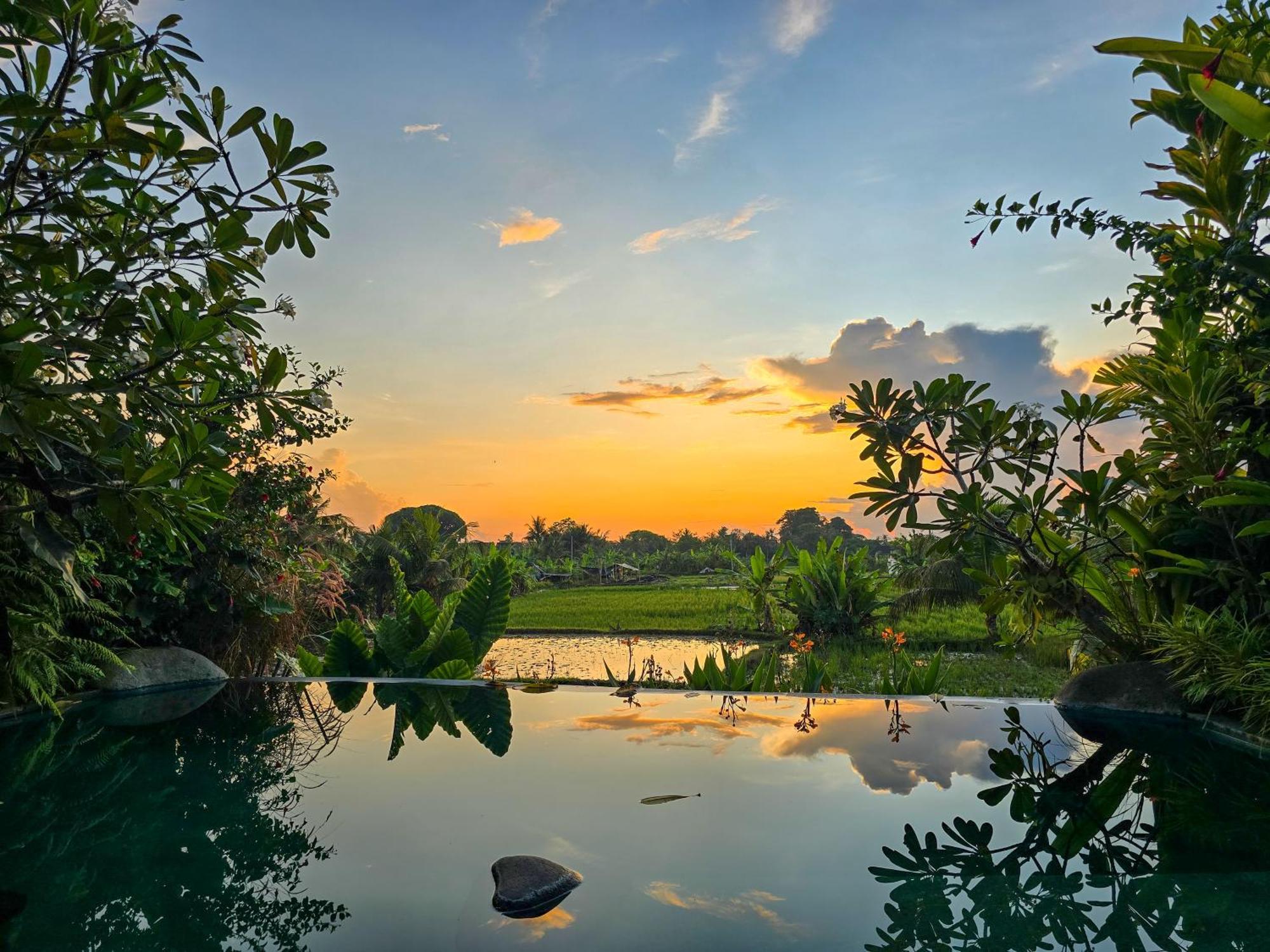 Uma Jala Villa Ubud Eksteriør billede